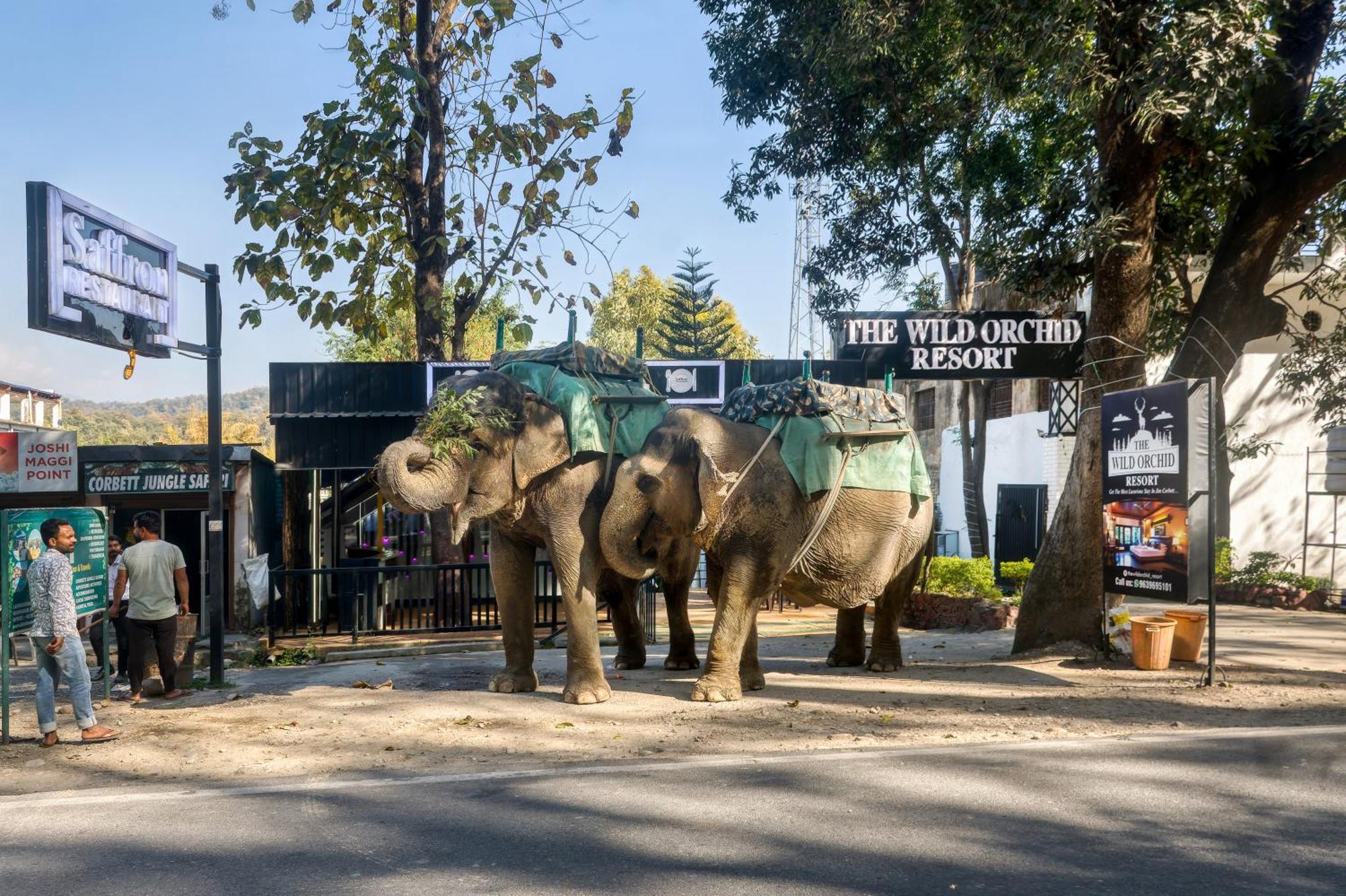 The Wild Orchid Resort Corbett Ramnagar  Dış mekan fotoğraf